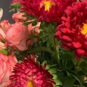 Meet your Posher, Maria